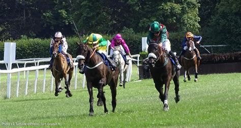 gouveturf turf|PMU pronostic gratuit .